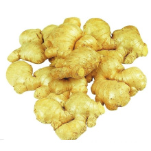 DRY GINGER